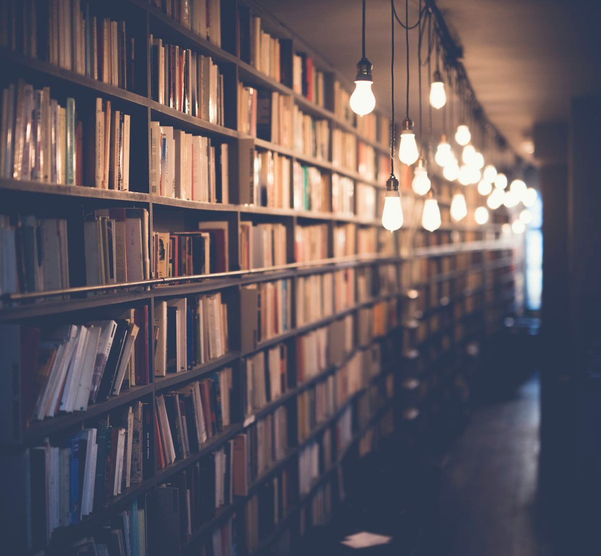 A warm library full of books